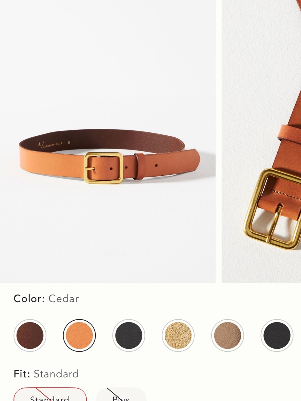 Anthropologie Emerson belt Sz XL